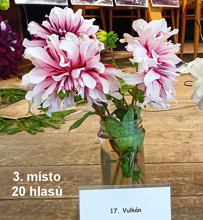 03-3 misto.jpg